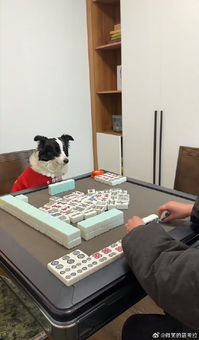 三缺一？网友为凑局不惜让前任与现任同桌，王者荣耀将上线麻将模式