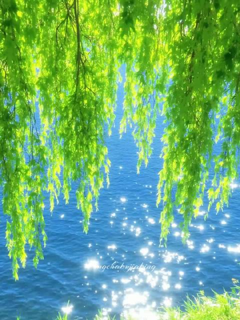 破碎执念滋养新生，时光淬炼坚韧自我