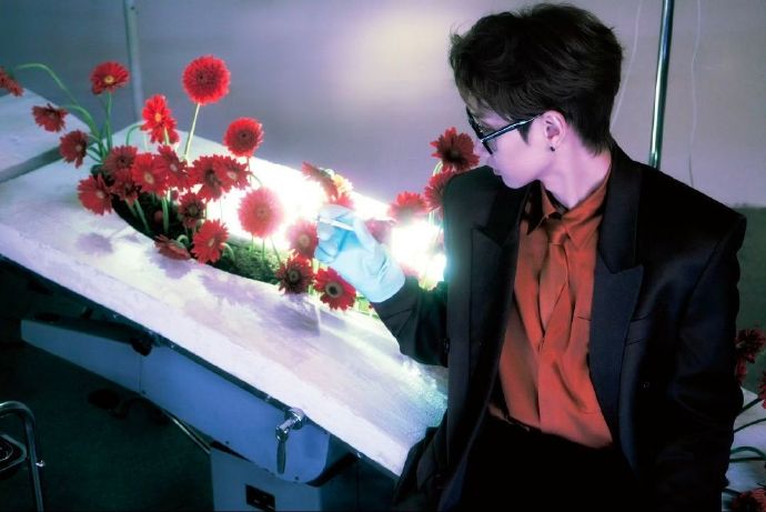 除了颜值高，敖瑞鹏、宋威龙、汪苏泷和陈哲远在微博之夜还有哪些引人关注的互动或作品？