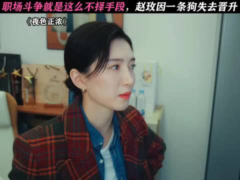 夜色正浓：这真是被做局了！赵玫因为一条狗失去晋升！