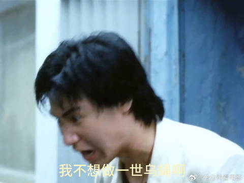 谁愿意一辈子做一只乌蝇呢张学友旺角卡门乌蝇哥