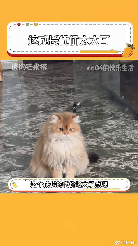 这个成长的代价略大了点吧成长的代价