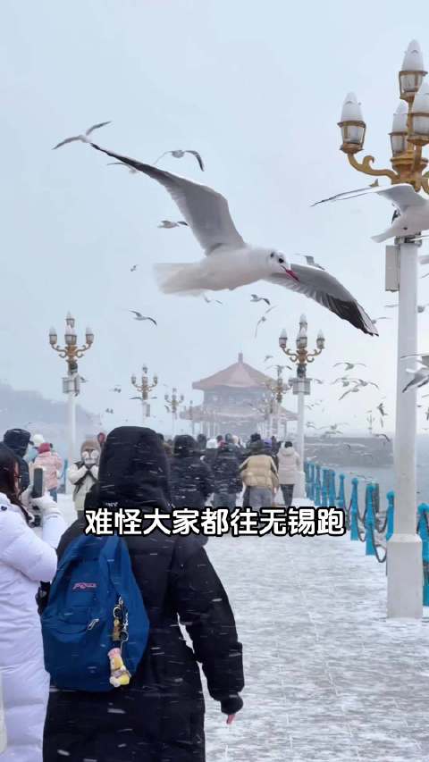 难怪大家都往无锡跑