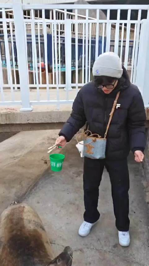 海豹：不要因为我的屁股长的像头就一直喂我的屁股！