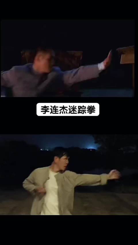 致敬李连杰功夫