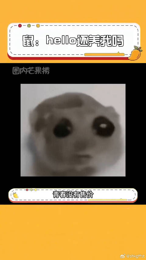 我承认我之前有点装了，现在还包吃包住吗越狱 养宠日常