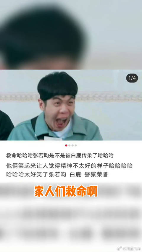 白鹿 笑容，太好笑啦