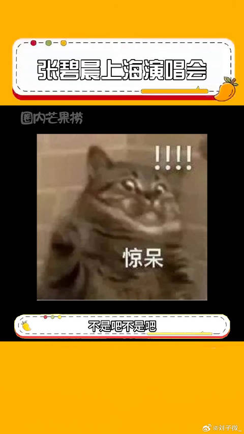 怎么直接飞起来了，咱就是说这个气息也是绝了！张碧晨上海演唱会 演唱会