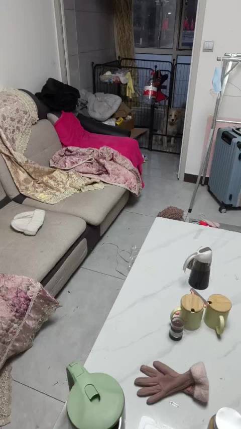 1.13臭仔仔拉沙发上了