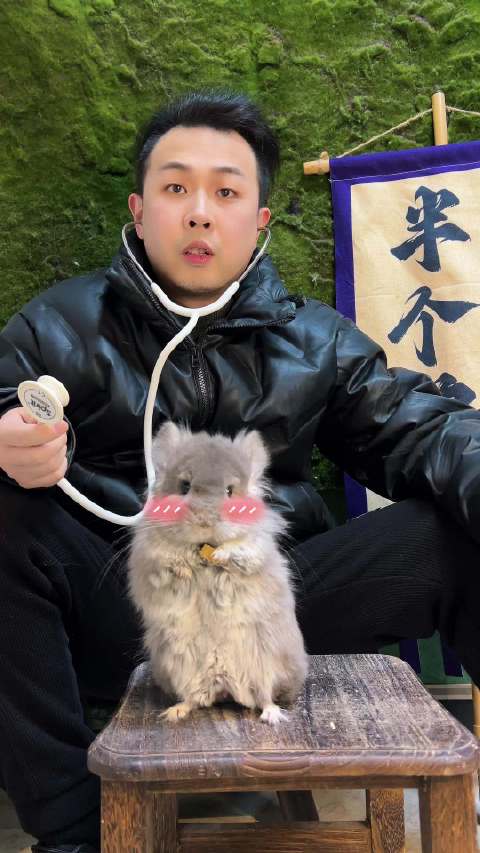 一首太聪明 送给我的mermer萌～☝️