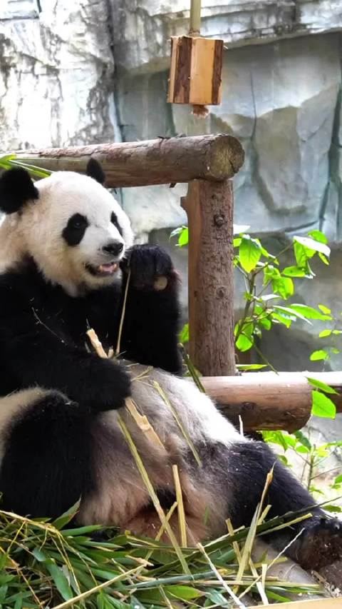 地点