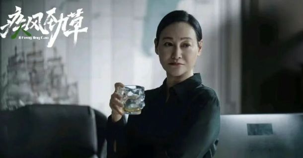 郭京飞宋茜领衔《疾风劲草》即将上映，惠英红、黄觉等实力派加盟