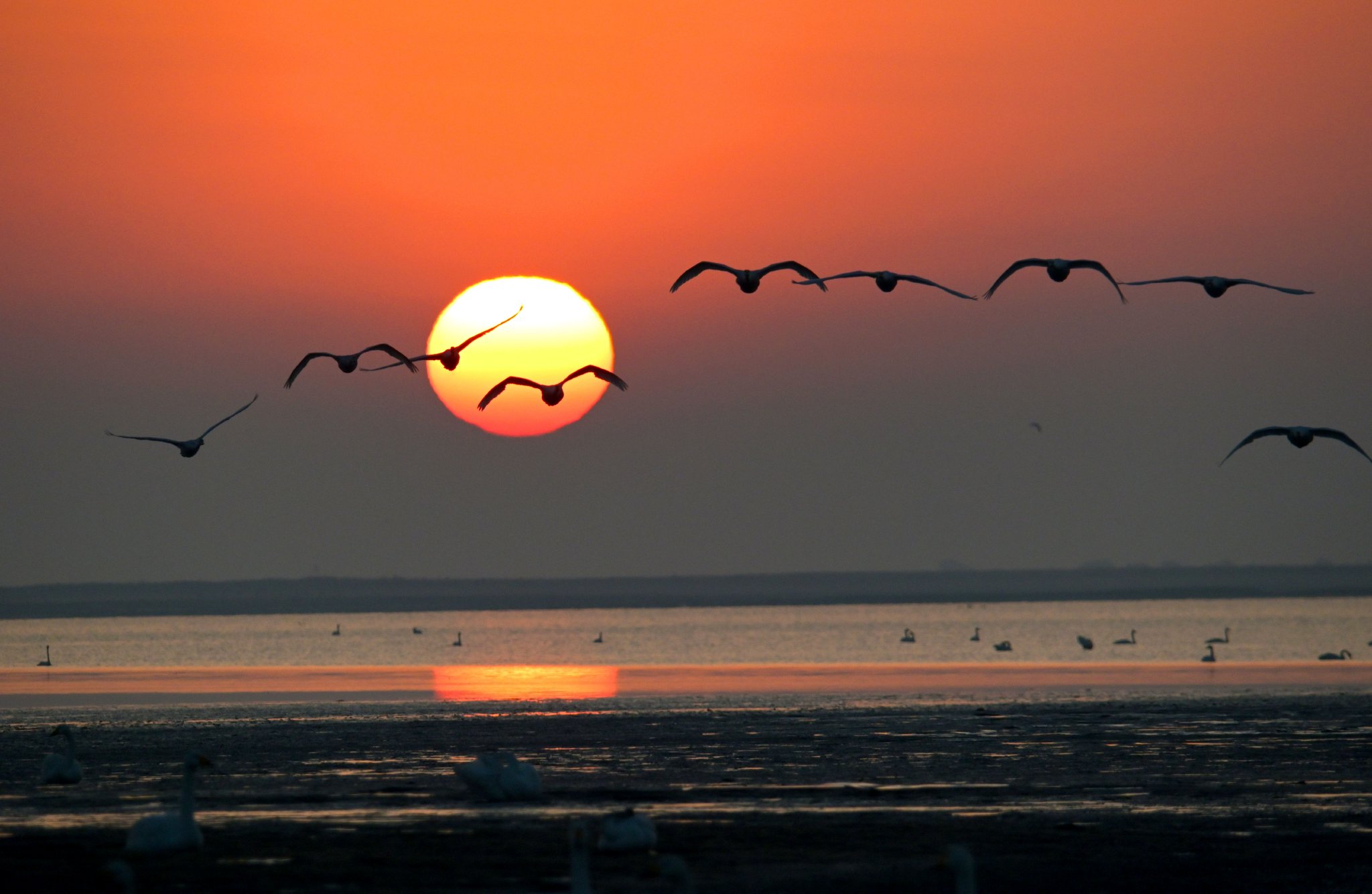 朝暮逐光 风景如画