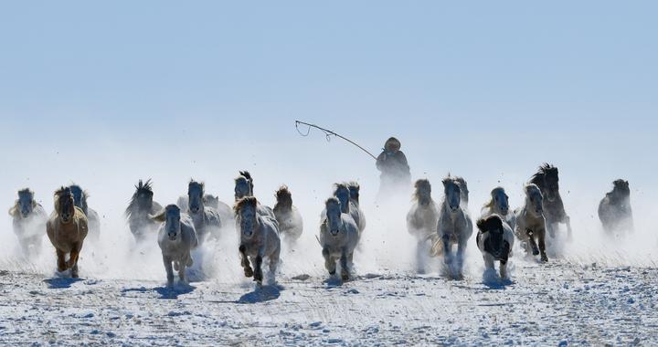 策马踏雪迎新春#