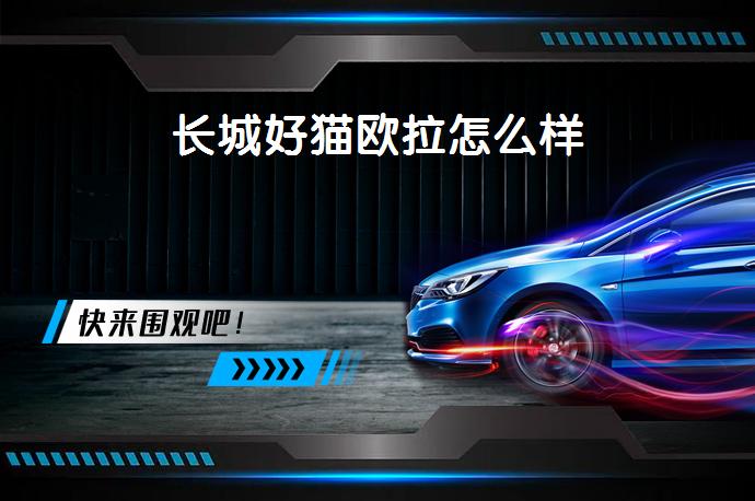 长城好猫欧拉怎么样