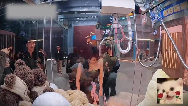 白鹿王星越抓娃娃默契互动，唐宫奇案云合10.8％