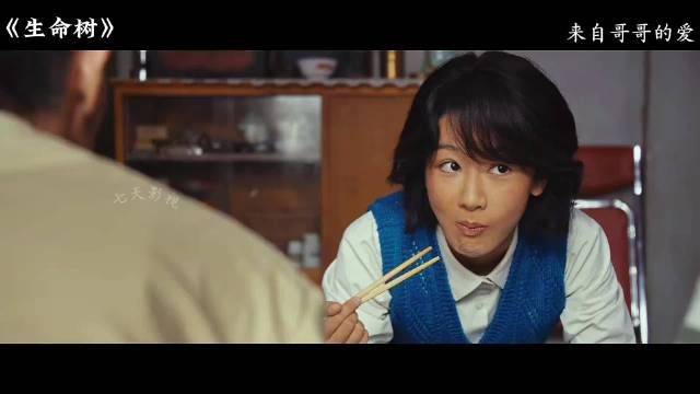 生命树:白菊竟被没有血缘的哥哥喜欢上了