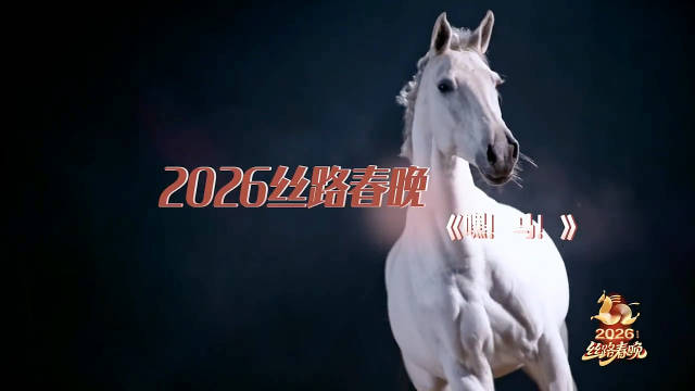 2026丝路春晚 人马共舞 气韵相通