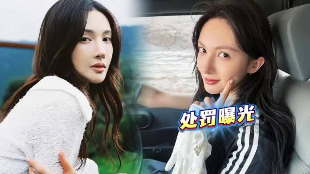 金晨处罚结果曝光！肇事逃逸被罚款1500，不构成犯罪引争议