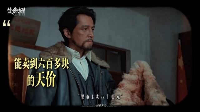 “它们抵过了世间万难，却躲不过人类的贪婪”