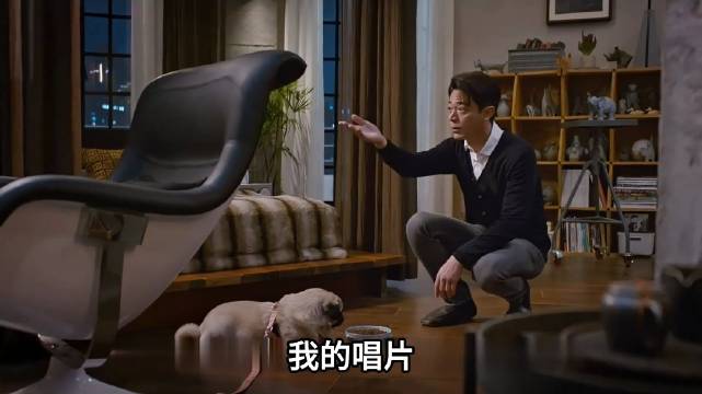 孤僻男被一只小狗治愈，让冷漠的他学会了温柔与疼爱