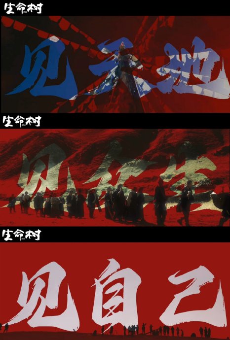 《生命树》中巡山队员张扬和白菊遭遇的车祸具体经过是怎样的？