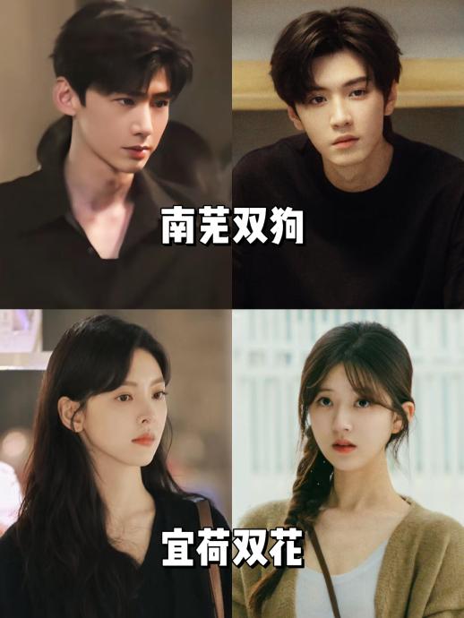 除了陈哲远和白敬亭，还有哪些演员曾被网友认为适合出演'南芜双狗'角色组合？