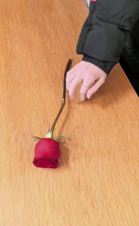 娜扎玫瑰花转场，不知道那天的感觉很“慢”妙，隔着屏幕被娜扎美晕了