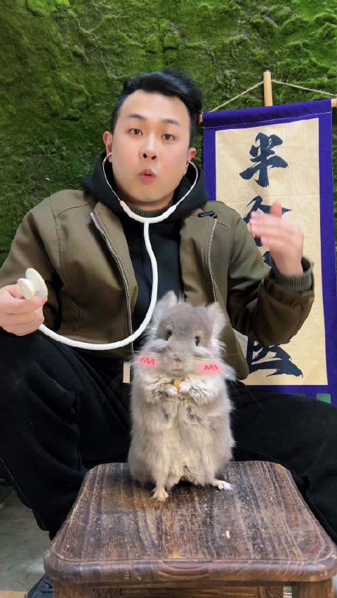 你好你好你好我是何秋兔☝️