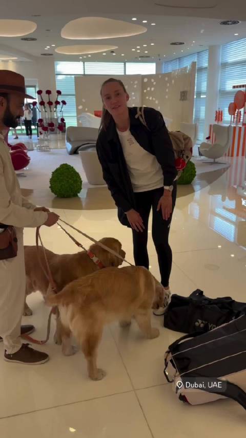 莱巴金娜启程赴多哈，或连战王欣瑜郑钦文