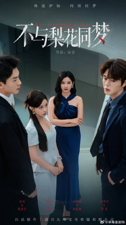 短剧·不与梨花同梦-第42集-云城金童玉女沈澜、陈洛星，因沈澜为学妹故意败诉背叛，陈洛星决绝离婚，联手律师苏宴反击，终让