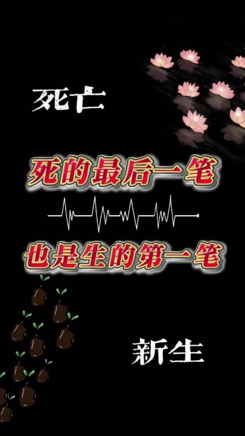 生命最后一场烟花，是为出生的喝彩