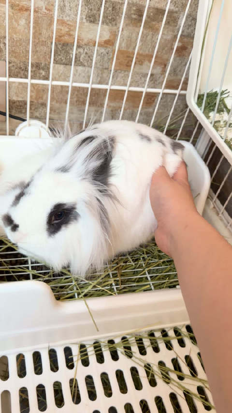 帮我挪一下这辆卡车，我要打扫卫生了，谢谢！