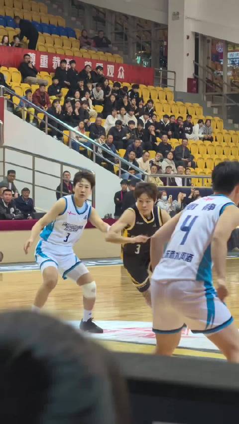 这个背后传球 杨力维 广东女篮