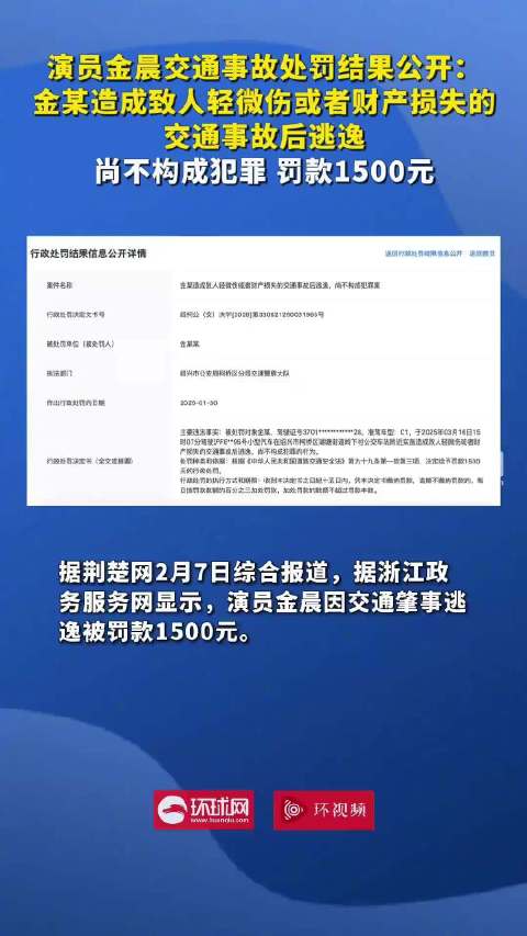 金晨肇事逃逸处罚结果公开