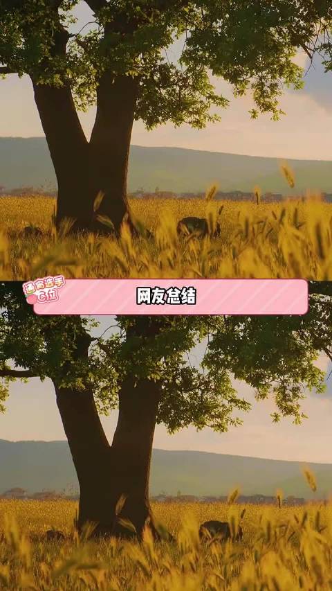 很有感触的一段话