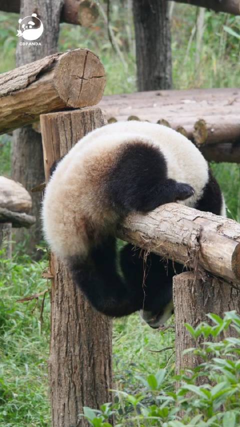 每日一善倡导善念善果，持平常心获云水心情