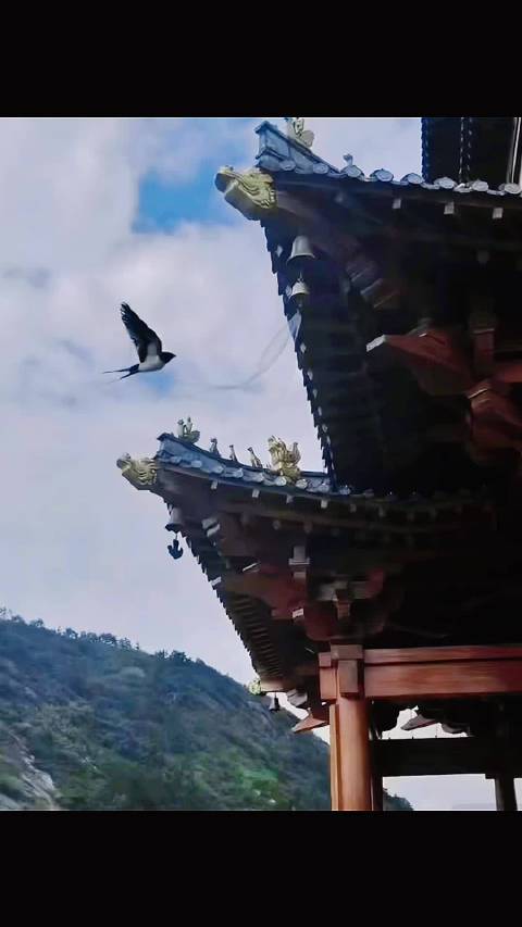 屋檐如悬崖，风铃如沧海，我等燕归来