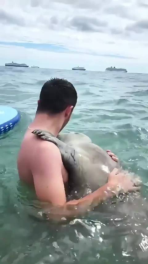 海狮：跟着人类混，三天吃九顿！