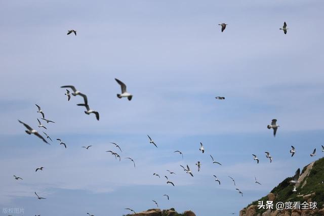 现实版塞尔达！四礵列岛的悬崖草坪秘境，90% 的人都去错了季节