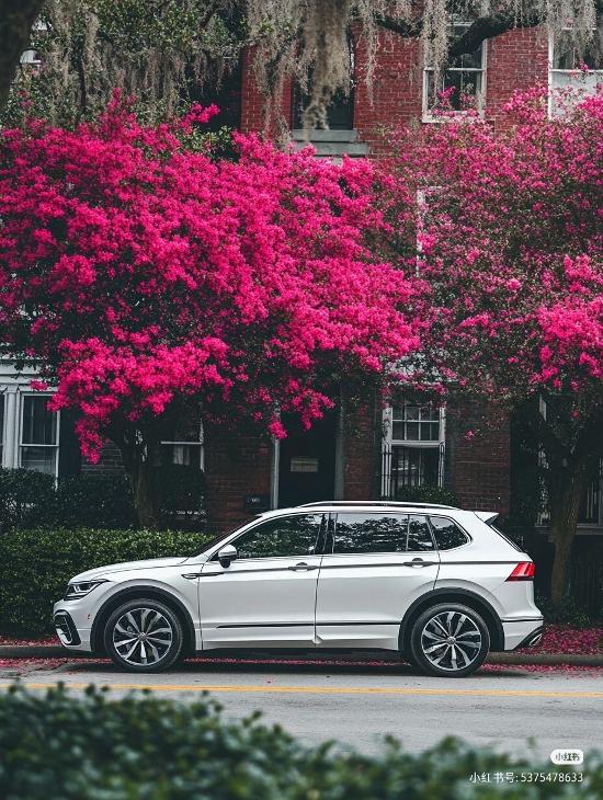 【“常青树”途观L_汽车新闻】-易车_上汽大众天锐曲江卫星店