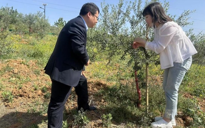 数字“精准灌溉”千万“小生意” 解码湖北银行的普惠金融智能引擎