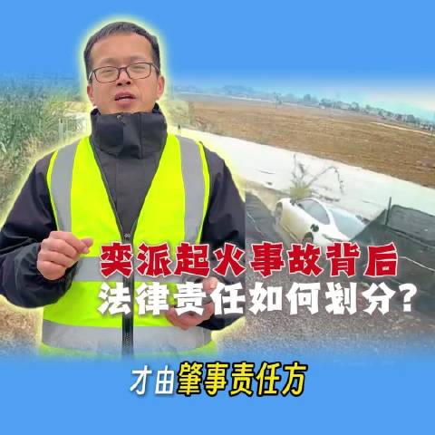 奕派007事故起火引争议,车门无法打开成焦点