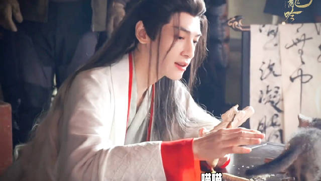 罗云熙获小猫亲近显善良本性