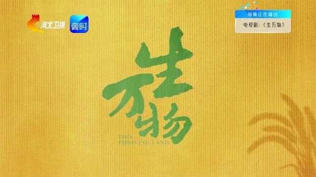 杨幂欧豪主演《生万物》2月9日登陆河北卫视
