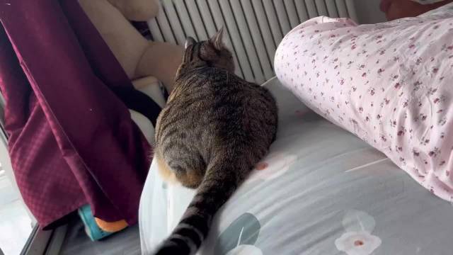 此时此刻一辆卡车伸出了它的脚蹬子