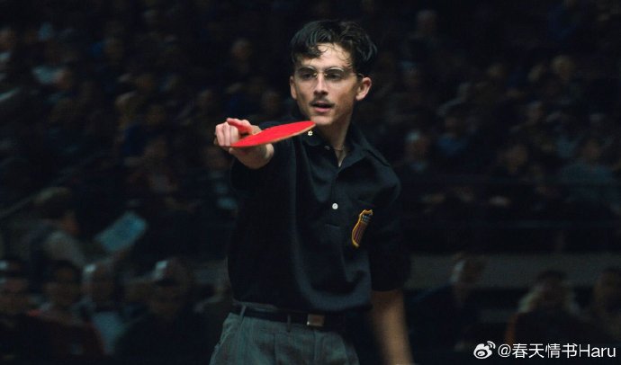 电影《至尊马蒂》的国内票房预估能达到多少？