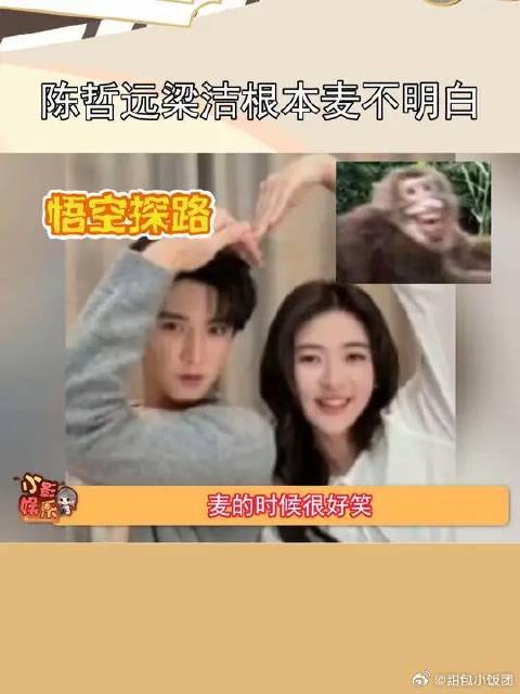 陈哲远梁洁回家吧好不好回家吧，你俩好像不太熟的样子哈哈哈