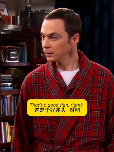 谢尔顿：我还以为他没有从你们的恋爱中学到任何东西呢！