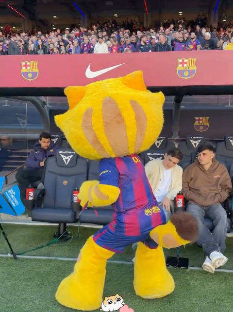 巴萨3比0胜马略卡，加维等三将伤缺引关注